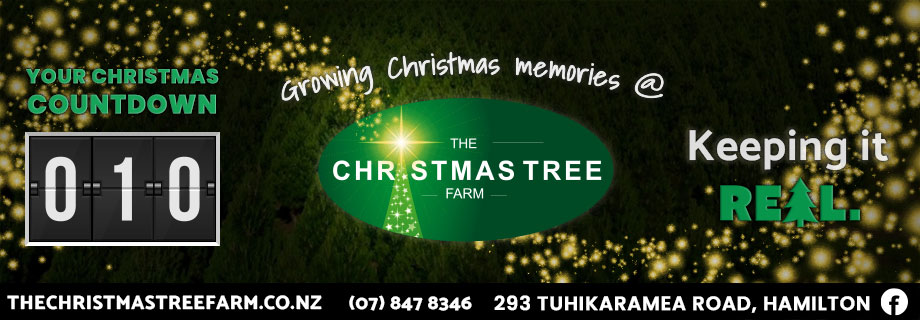 You are currently viewing The Christmas Tree Farm Pukete Creative